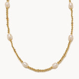 Collana Aureliana